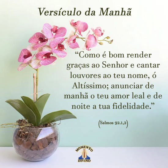 oração matinal com versículo