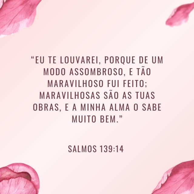 versículo de força para o dia