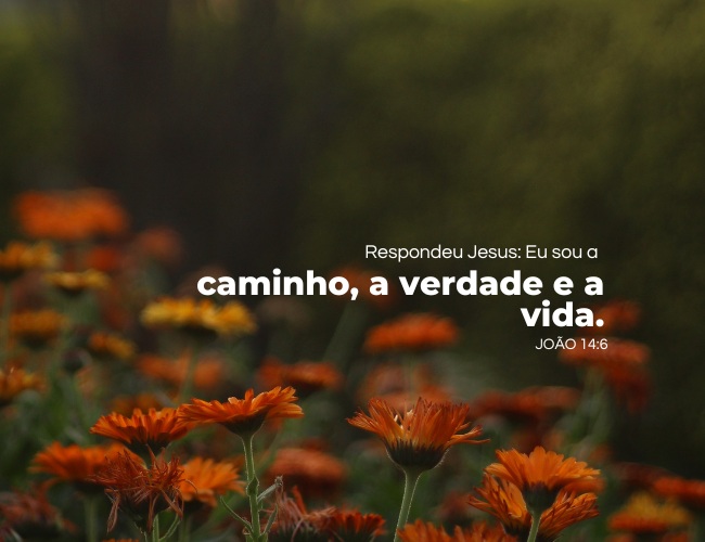 versículos curtos para status