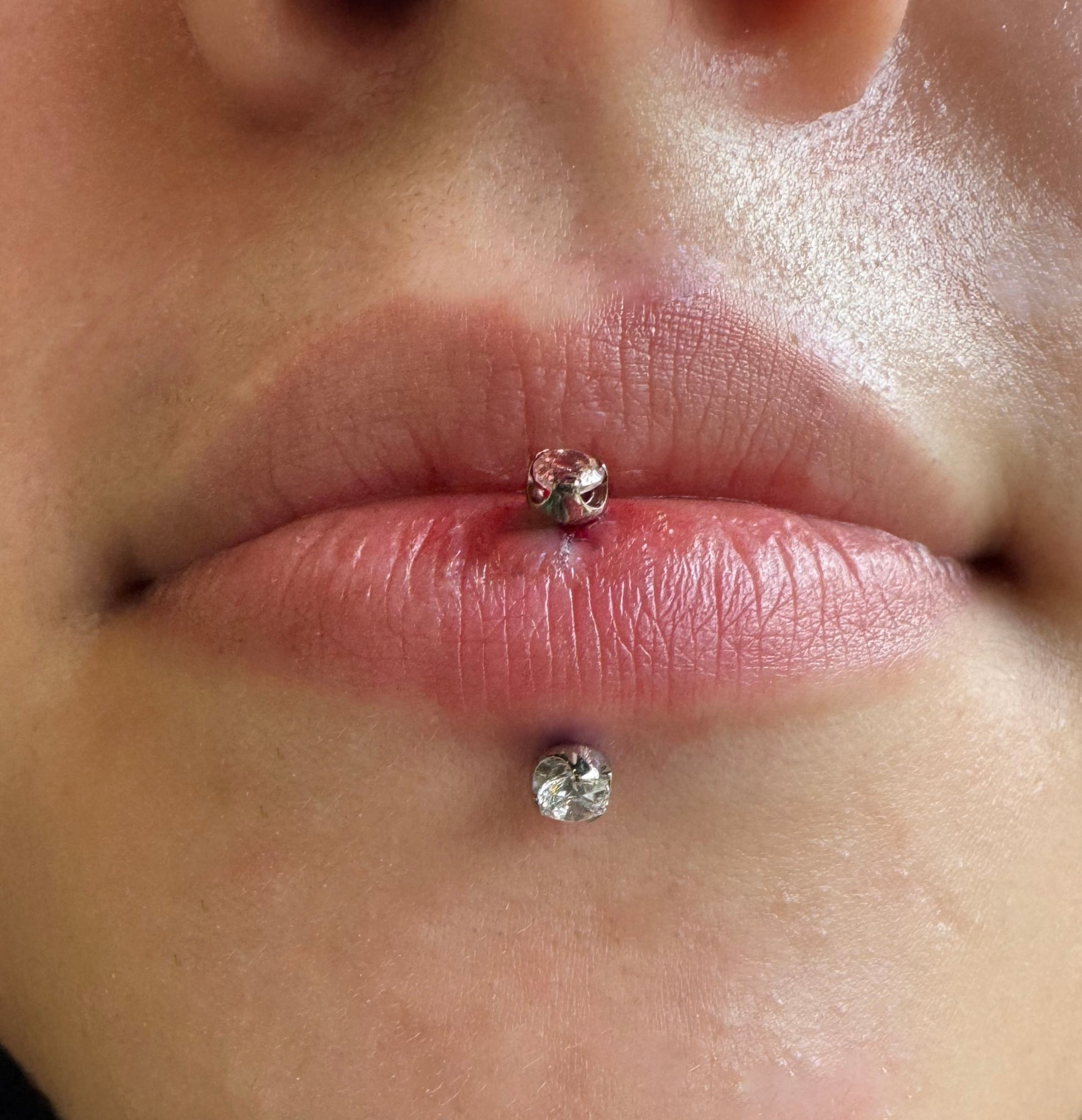 vertical labret anatomia