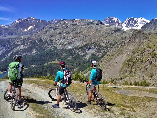 5 ideias de títulos:
1. Descubra as 5 Melhores Rotas de Cicloturismo na Europa
2. Guia Completo: Planejando sua Primeira Cicloviagem pela Europa
3. Equipamentos Essenciais para uma Cicloviagem Segura na Europa
4. Europa de Bicicleta: Quando Ir e Quais Destinos Escolher
5. Ciclovias da Europa: De Portugal à Itália