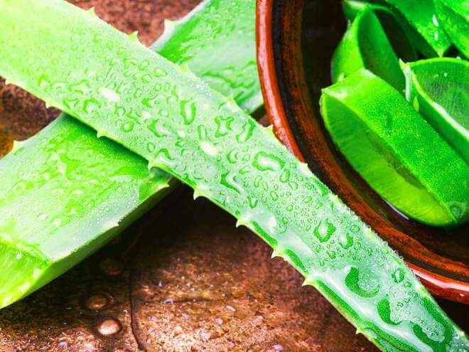 5 Receitas Caseiras para Combater a Queda de Cabelo; Vitaminas Essenciais para um Cabelo Forte e Saudável; Como Usar Babosa para o Crescimento Capilar; Tônico de Folha de Goiaba: Benefícios e Modo de Preparo; Alimentos que Fortalecem os Fios e Previnem a Queda