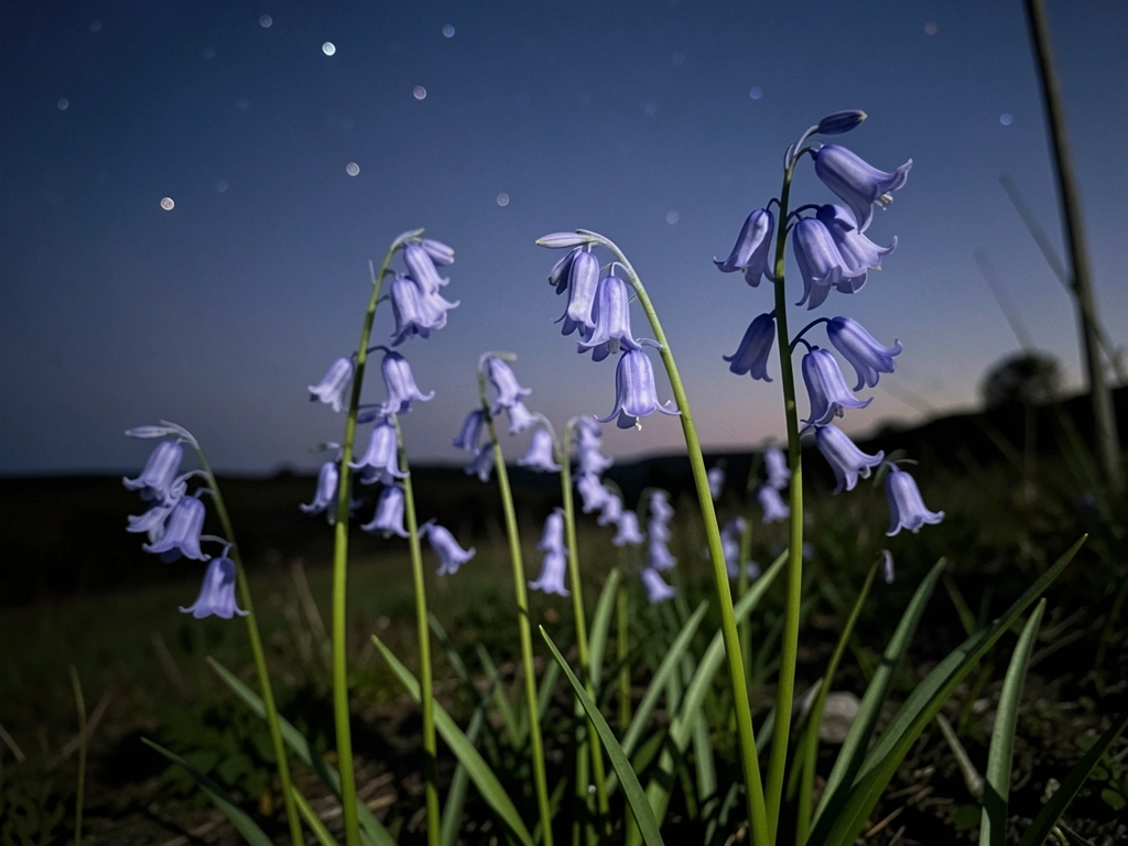 Flores azuis finas como campânulas balançam sob luar fraco, com céu noturno estrelado ao fundo e profundidade de campo rasa.
