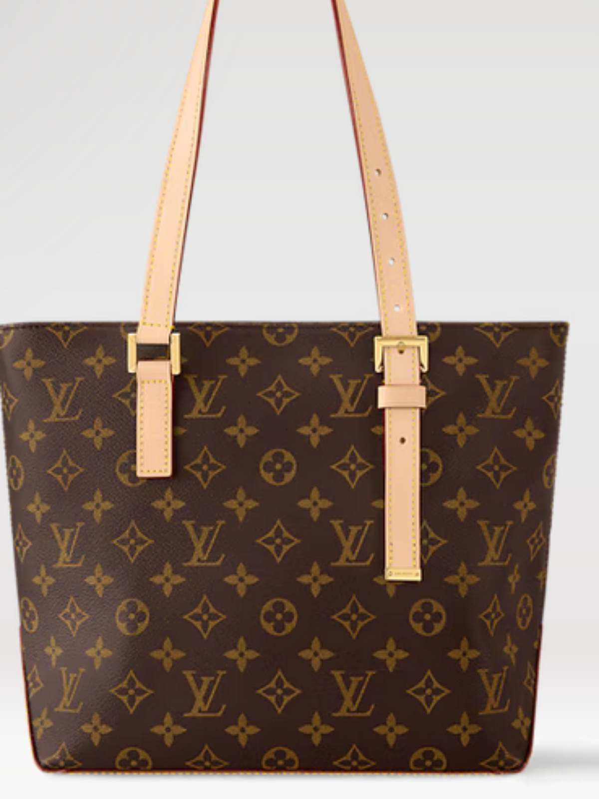 bolsas Louis Vuitton Speedy