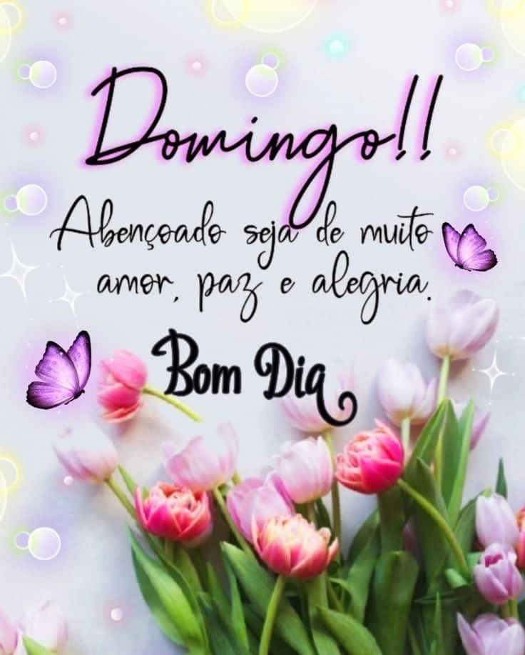 domingo em família paz e amor