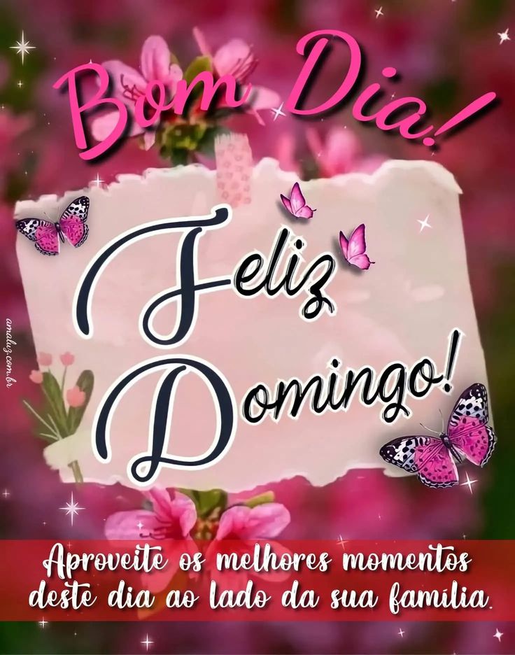 como aproveitar o domingo com a família