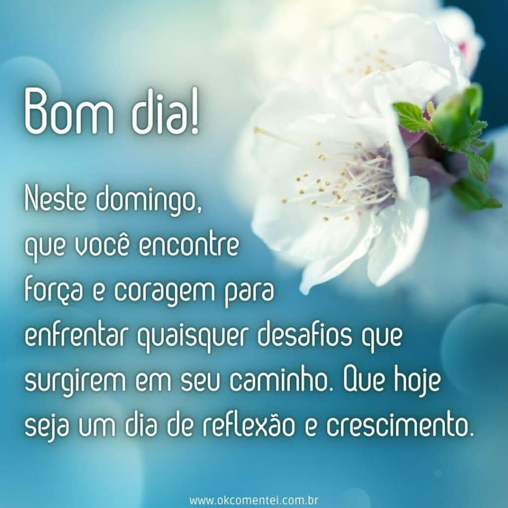 domingo de tranquilidade e introspecção
