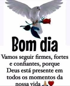bom dia vida amor