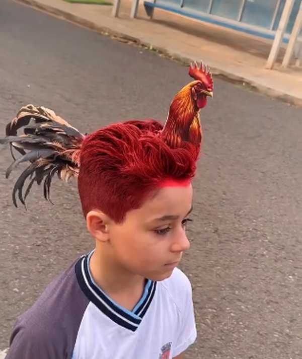 tendências cabelo maluco 2026