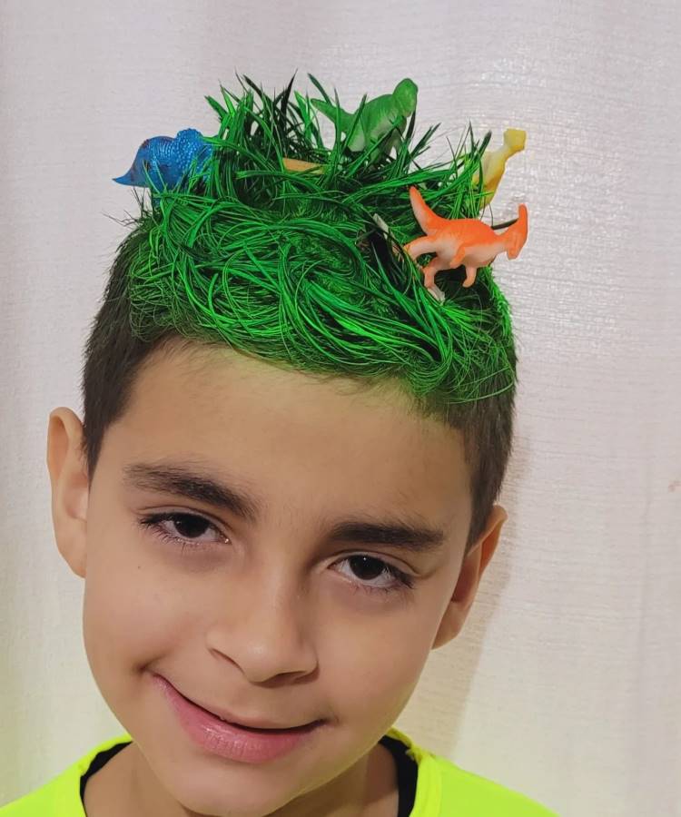 dia do cabelo maluco ideias