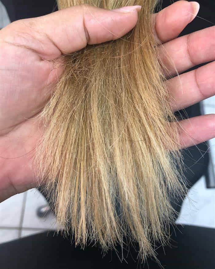 cabelo que não cresce