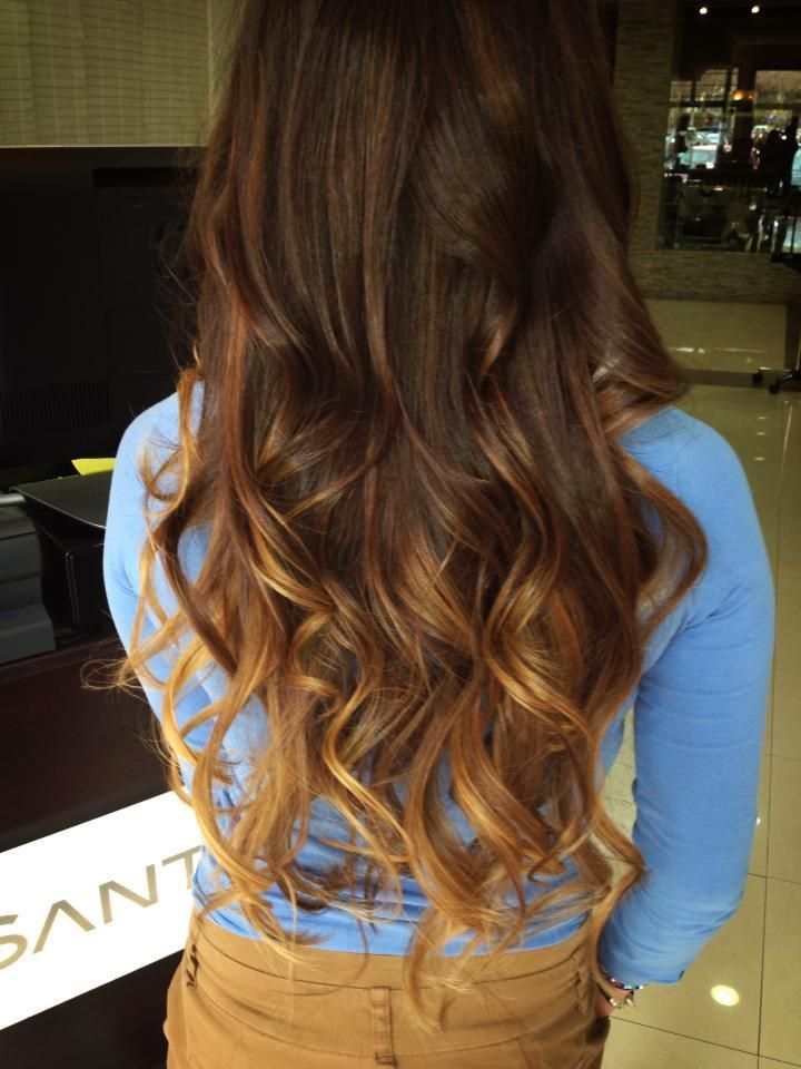 Californiana longa