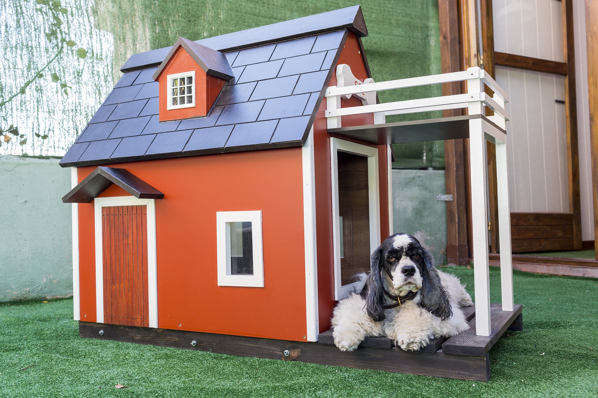 casinha de cachorro de madeira