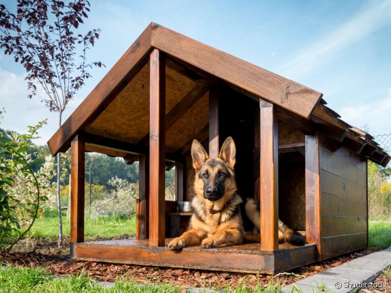 casinha de cachorro de plástico