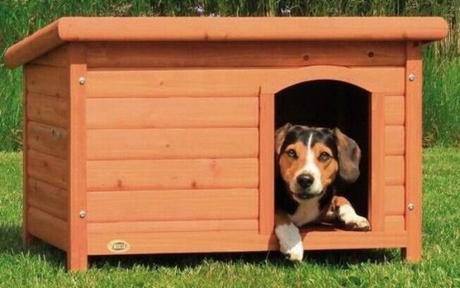 manutenção casinha cachorro