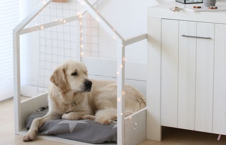 casinha de cachorro de madeira