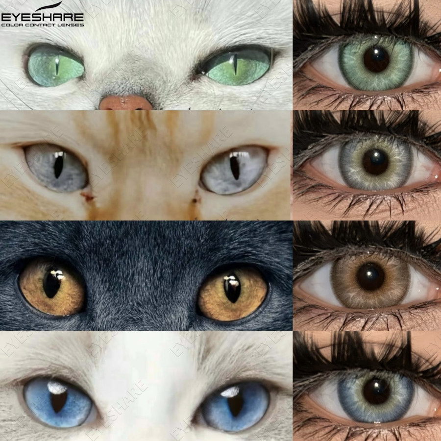 tendências de moda eyewear