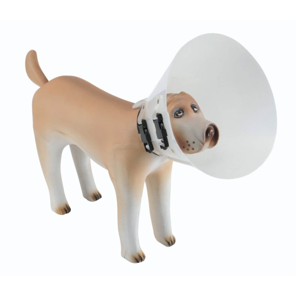 cone para cachorro