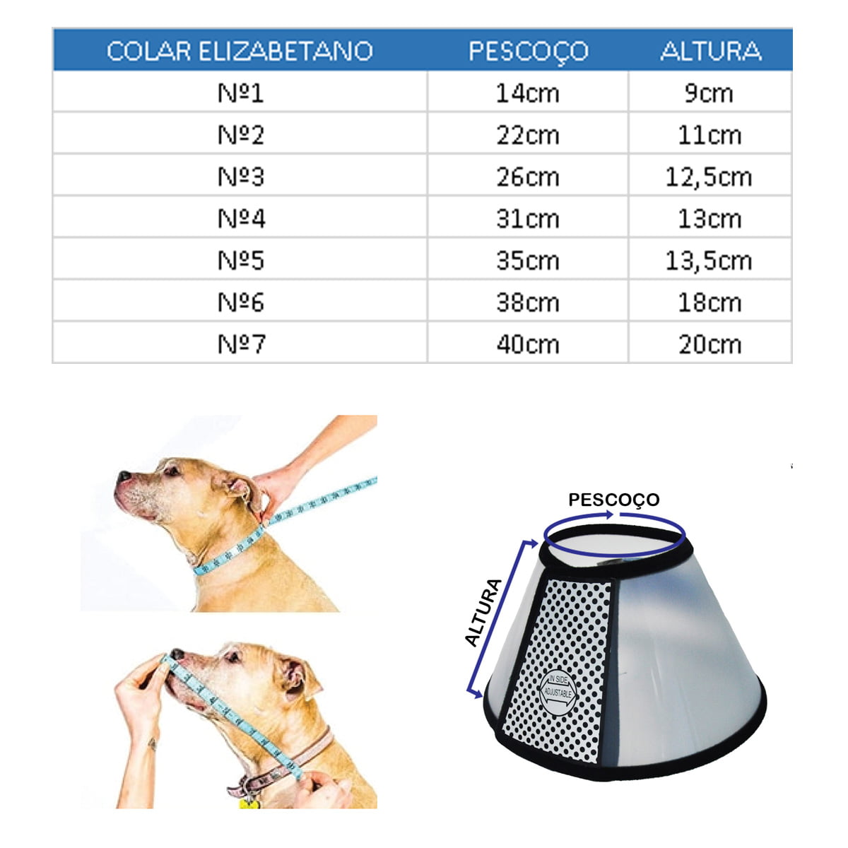 cone para gato