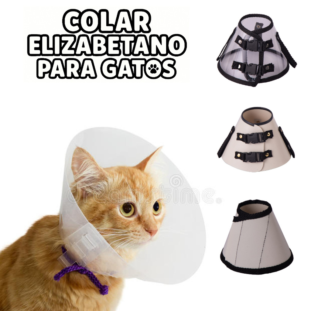 colar inflável para cachorro