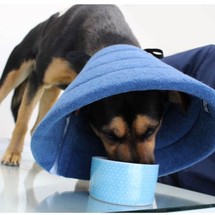 cone para cachorro