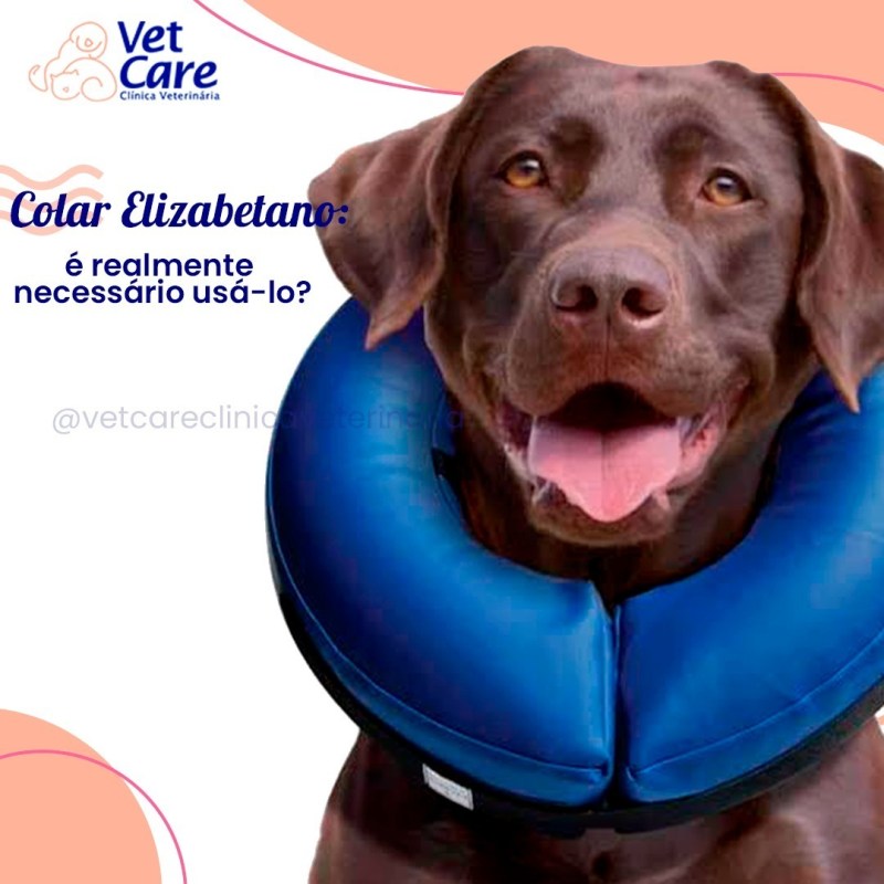 colar para lambedura