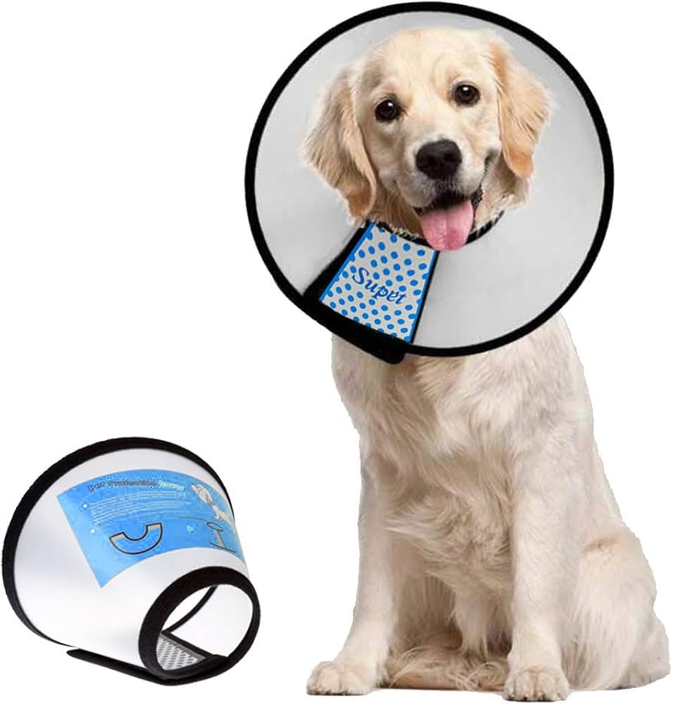 colar inflável para cachorro