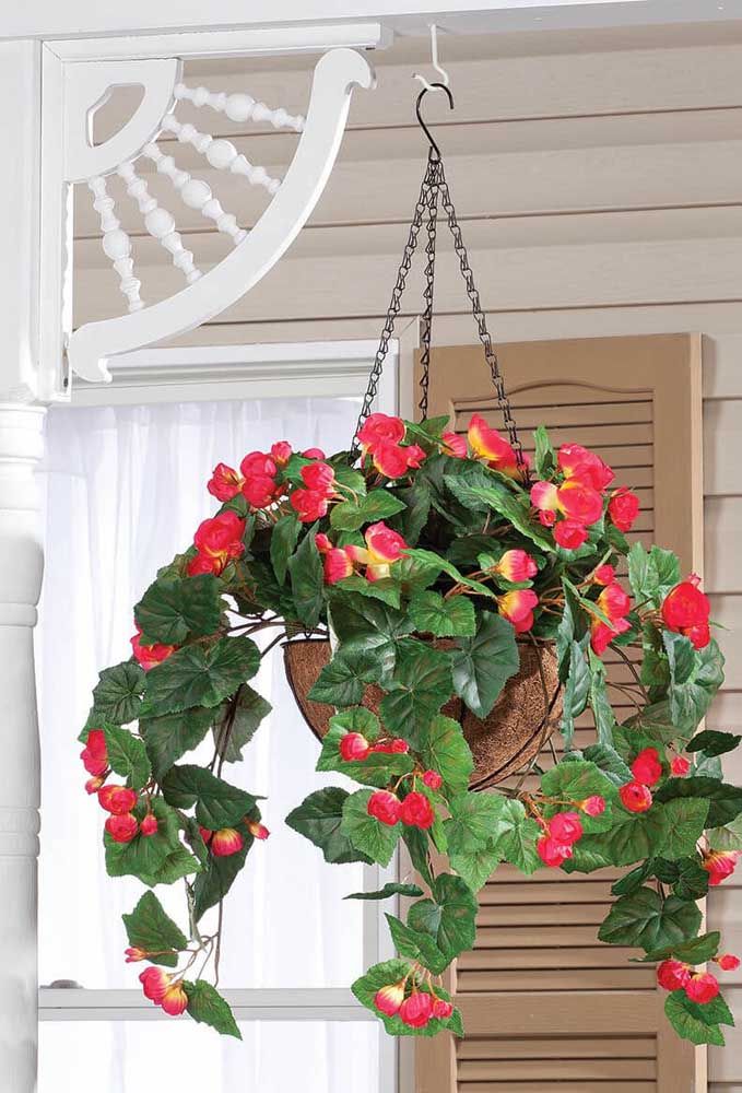 plantas de sombra para varanda pequena
