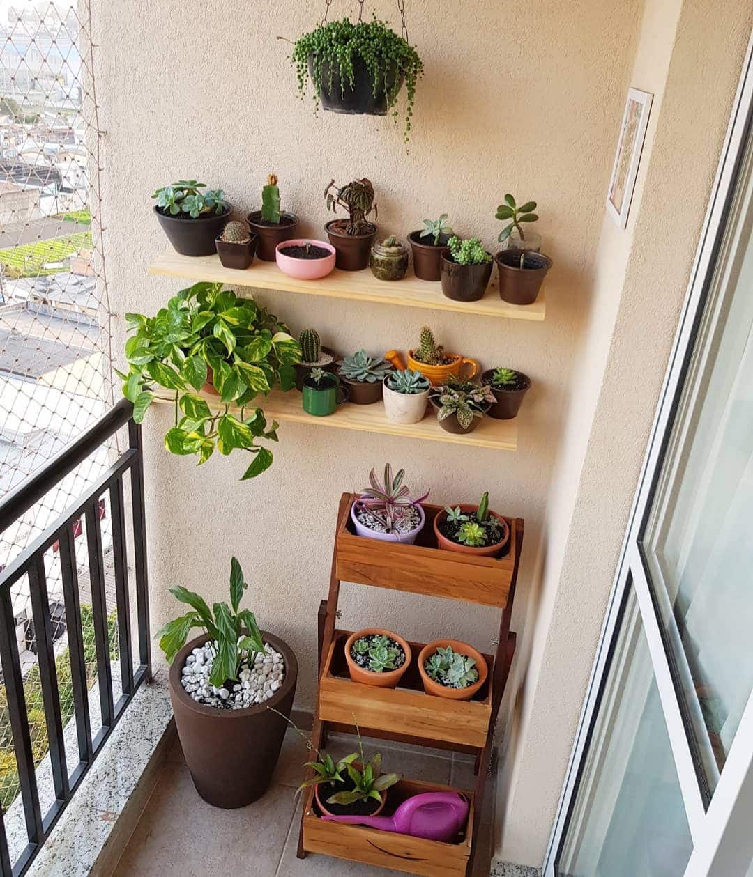 ideias de jardim vertical com begônias