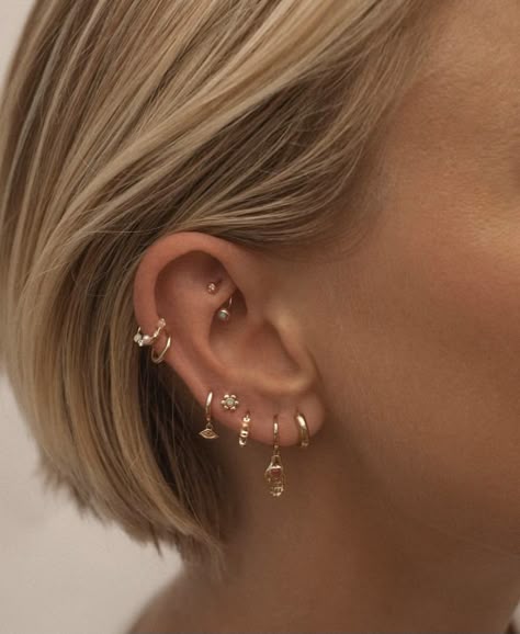 piercing concha orelha