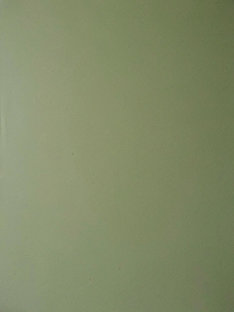 Sofá verde musgo em sala de estar com paredes claras e mesa de centro de madeira.