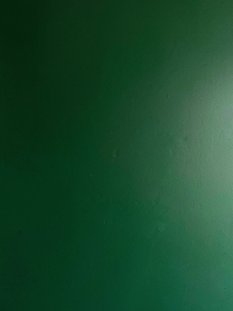 Sofá verde musgo em sala de estar com paredes claras e mesa de centro de madeira.