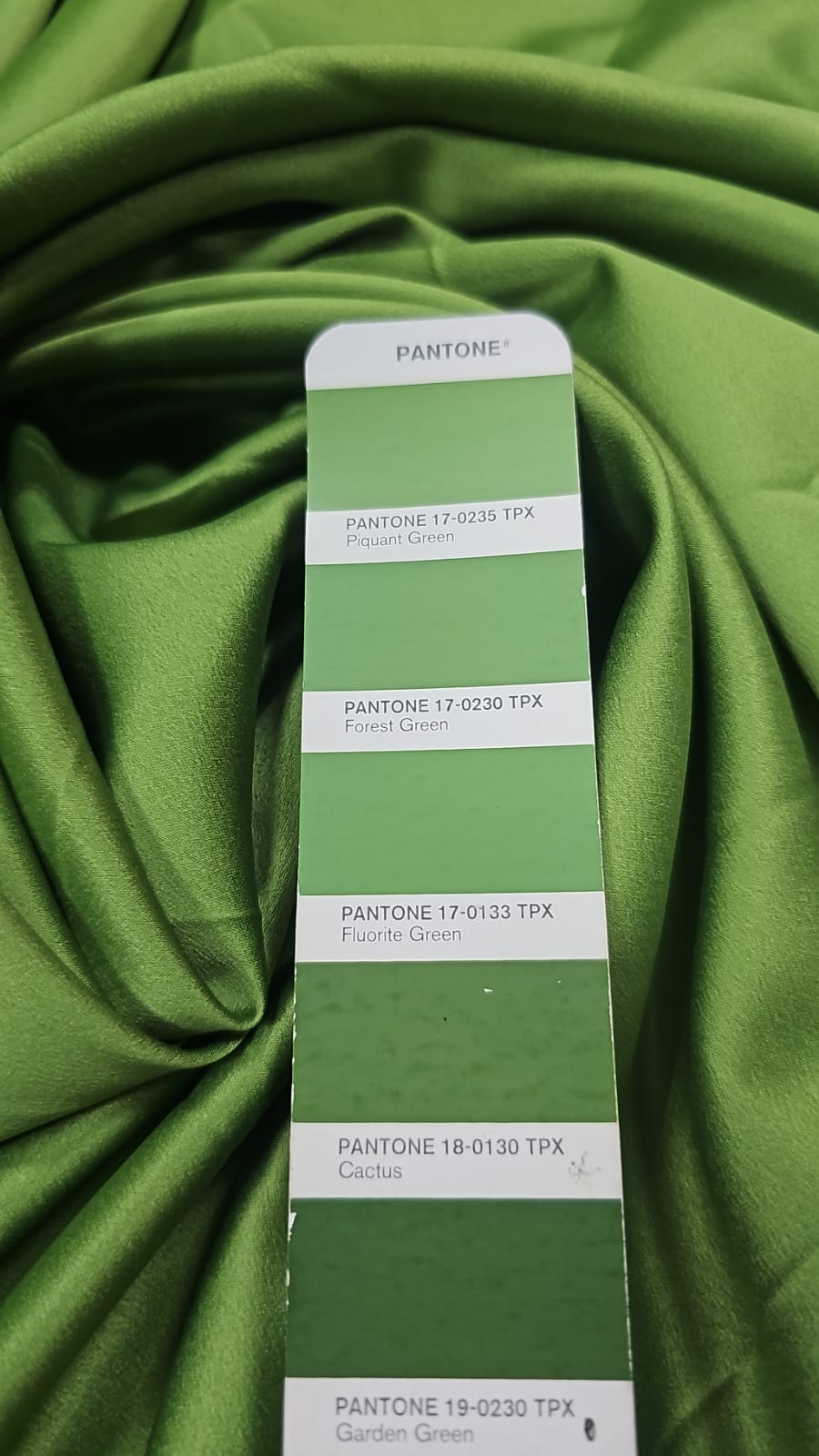 sombra verde oliva