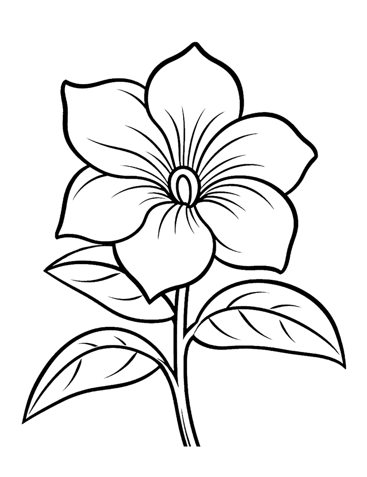 desenhos de flores para imprimir
