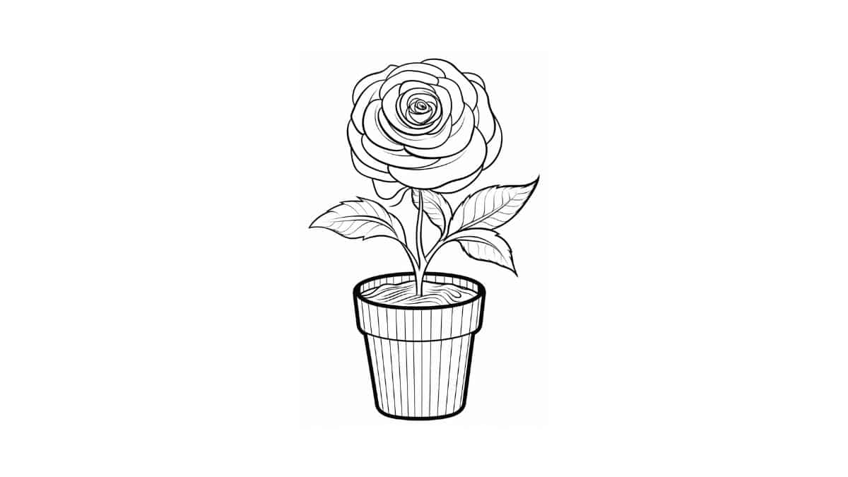 livro de colorir flores