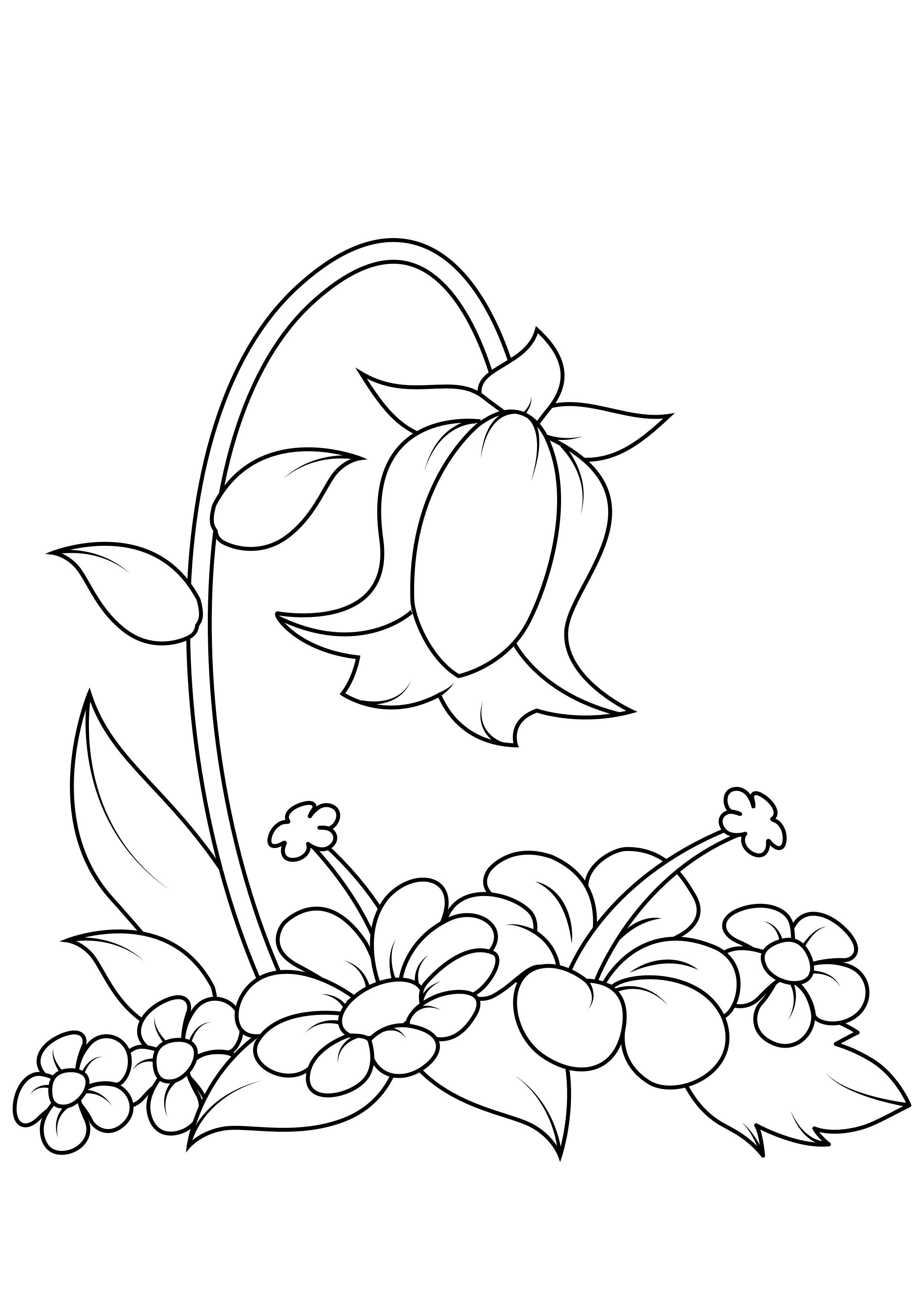 desenhos de rosas para colorir