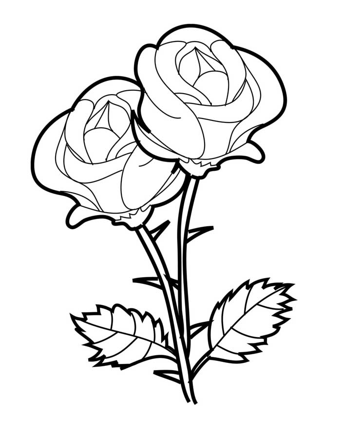 padrões florais para pintar