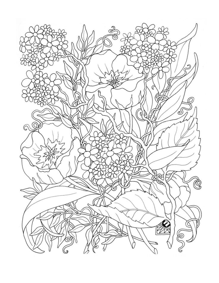 desenhos para colorir adultos complexos