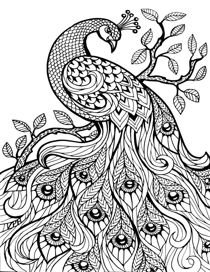 zentangle para colorir