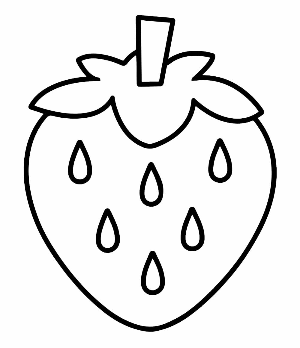 desenhos para iniciantes