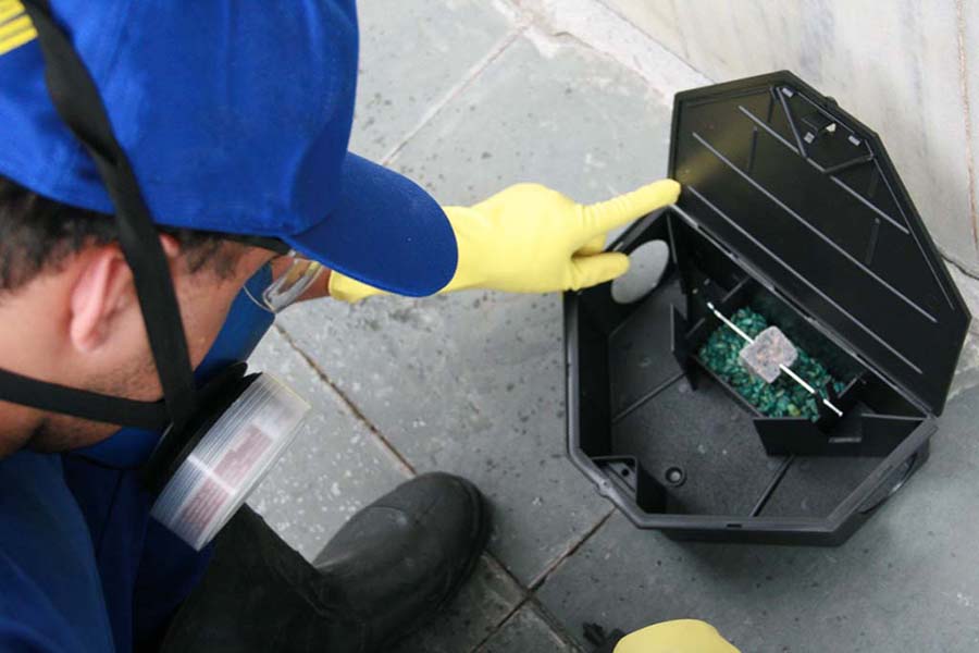 prevenção de ratos