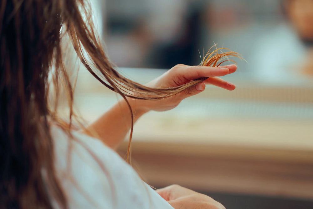 cabelo elástico o que significa