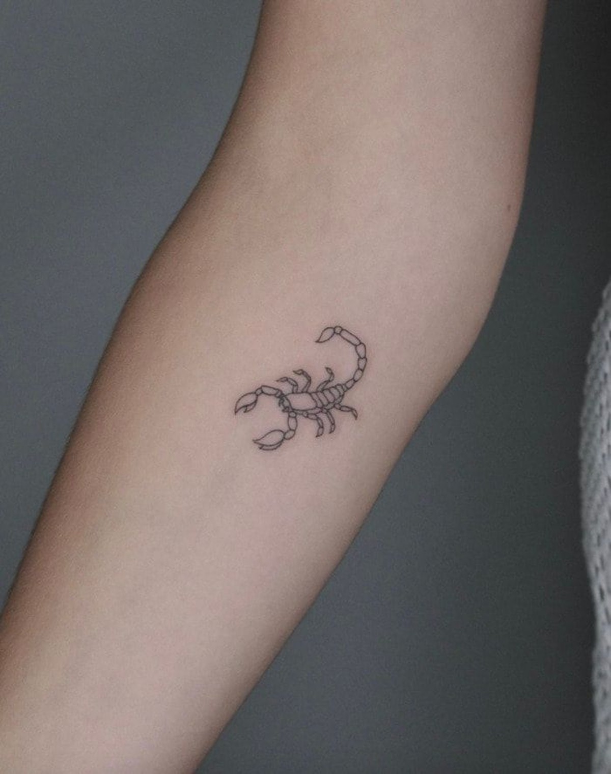 desenho escorpião tattoo