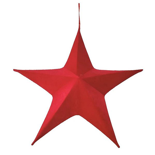 estrela de natal planta