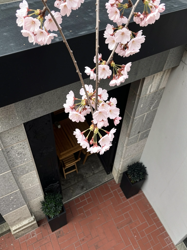 Amostras de cores neutras com um ponto de cor vibrante ao centro.