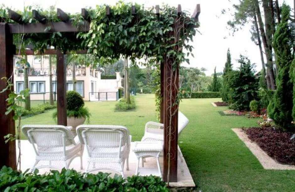 Pergolado com plantas seguras para pets