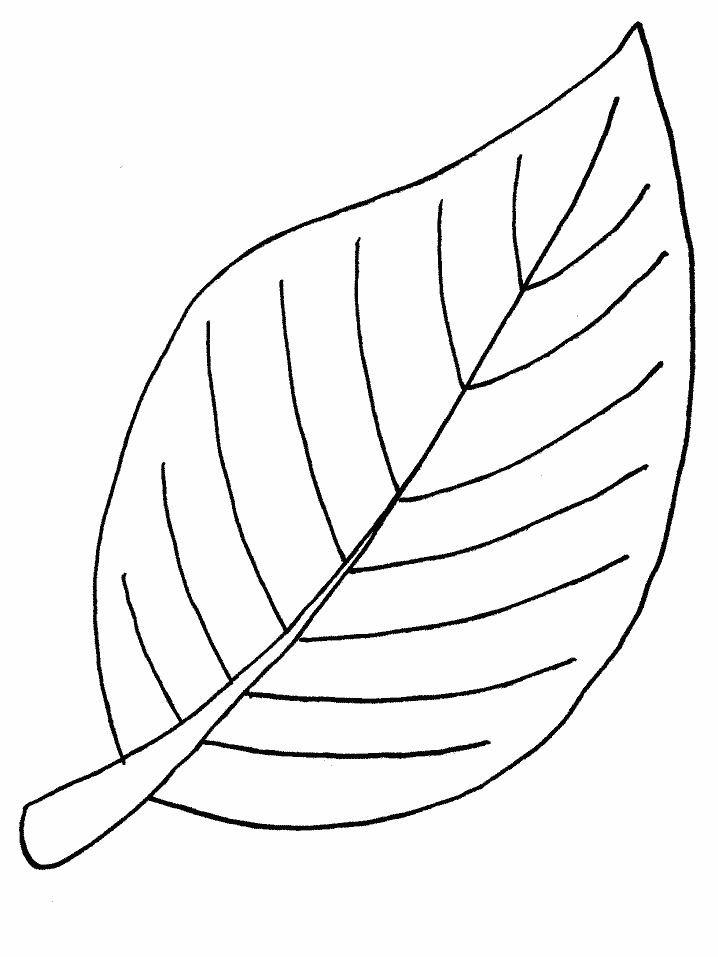 desenhos de folhas tropicais para colorir