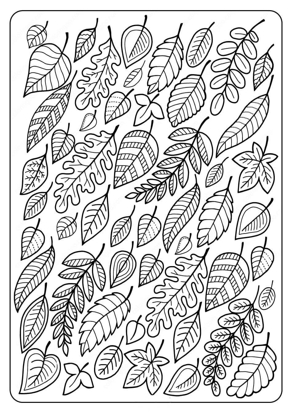 desenhos para colorir grátis