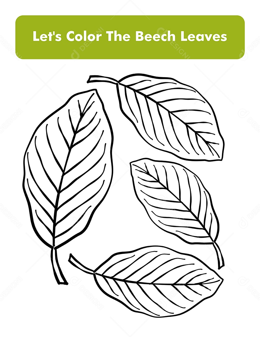 folhas para pintar
