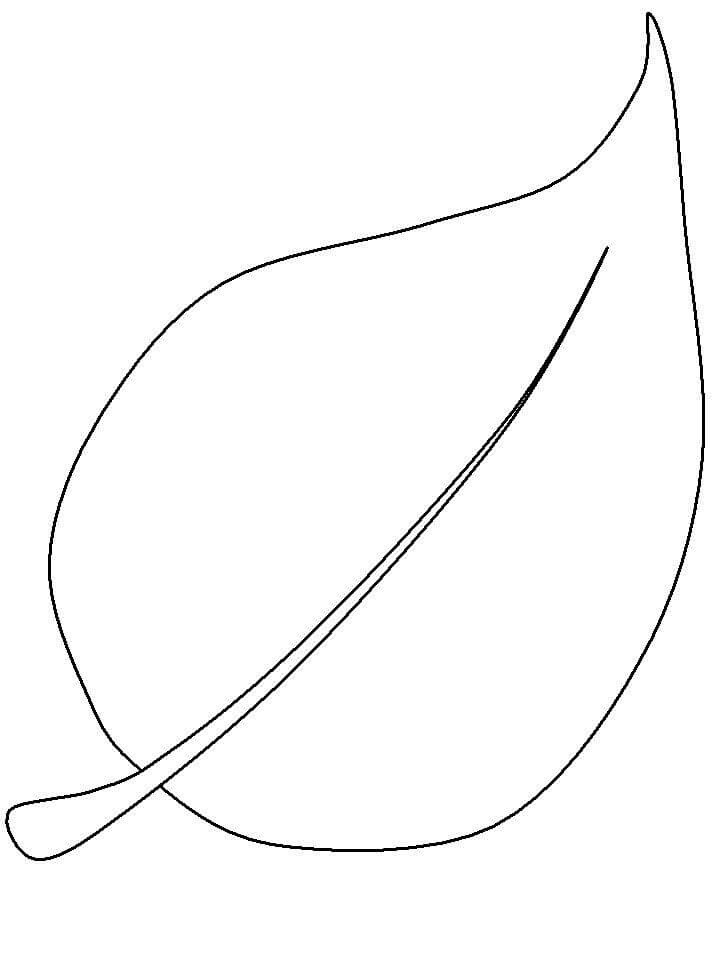 livros de colorir para imprimir